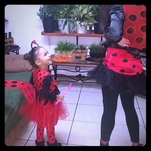 Toddler Lady  Love Bug Costume ONLY